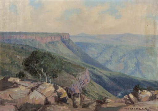 Willem Hermanus Coetzer; Oribi, Suidkus Natal