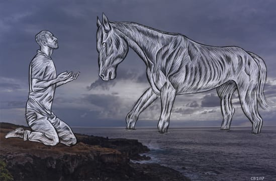 Conrad Botes; Equus