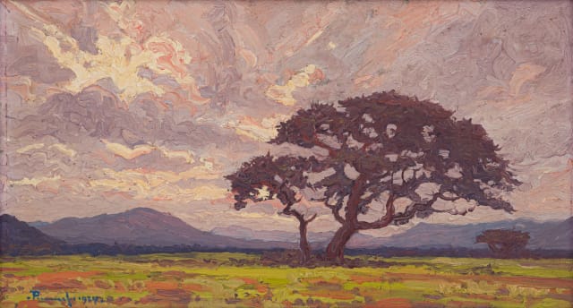 Jacob Hendrik Pierneef; Acacia