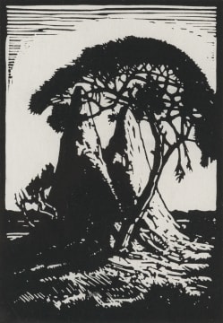 Jacob Hendrik Pierneef; Miershope, S.W.A. (Nilant 113)