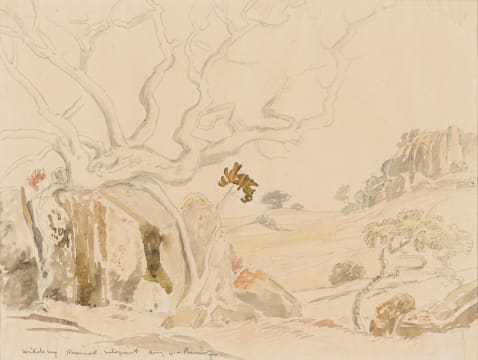 Jacob Hendrik Pierneef; Wilde Vy, Rooiwal