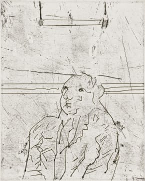 Robert Hodgins; Trapeze