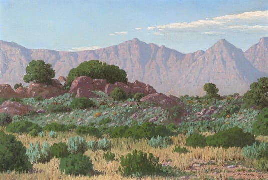 Jan Ernst Abraham Volschenk; A Bouldery Ridge near Bainskloof, Worcester