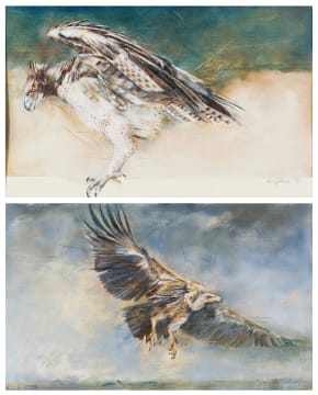 Vic Guhrs; Vulture; Eagle, two
