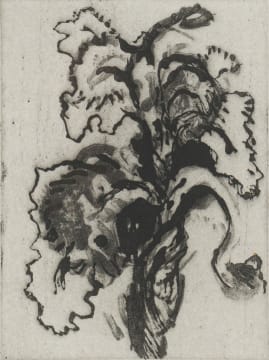 William Kentridge; Iris