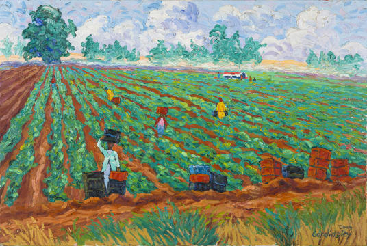 Patrick Cordingley; Working the Field