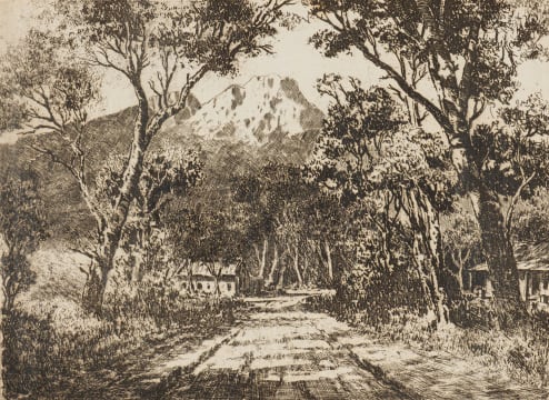 Tinus de Jongh; Houtbay Avenue, Cape