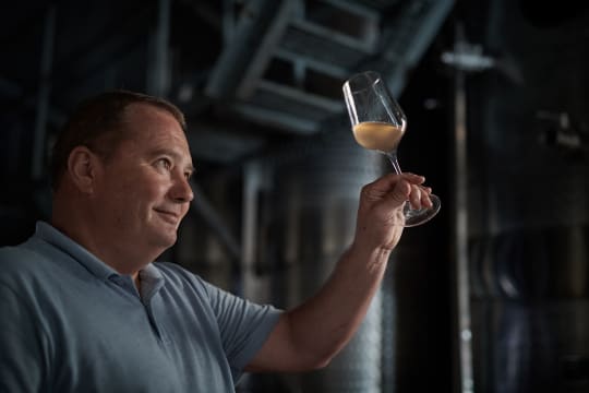 Spier Wines; Frans K Smit CWG Special Edition; 2019; 12 (2 x 6); 750ml