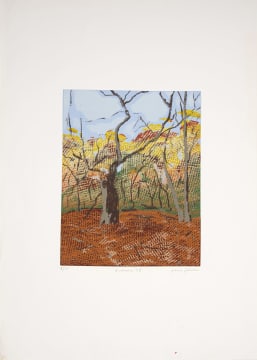 Alice Goldin; Autumn 78