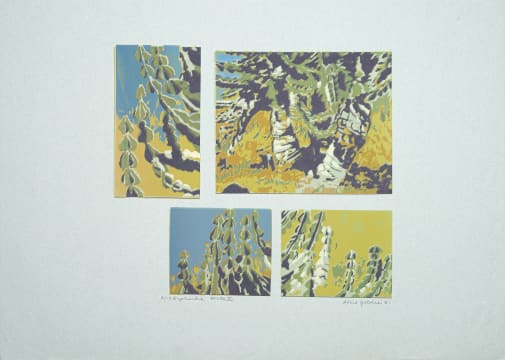 Alice Goldin; Euphorbia State II