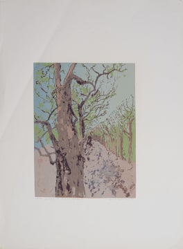 Alice Goldin; Jardin des Plantes State I