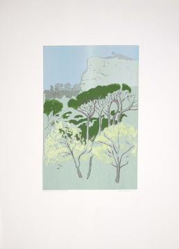 Alice Goldin; Looking at Signal Hill