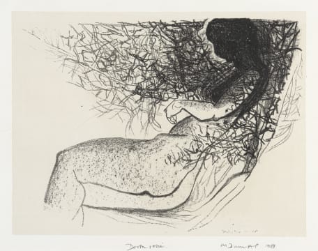 Marlene Dumas; Doorn Rosie