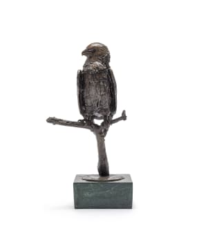 Arend Eloff; Bateleur