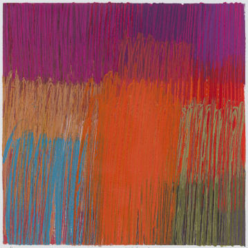 Paul Blomkamp; Highveld Veld High (17)
