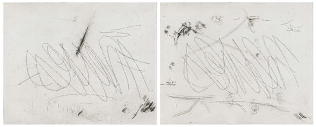 Willem Boshoff; Neves I and Neves II, two