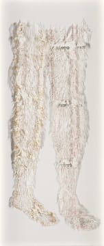 Lyndi Sales; Limbs
