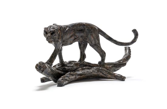 Dylan Lewis; Leopard IV (S451)