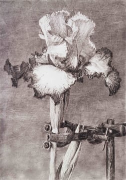 William Kentridge; Iris II (In Clamp)
