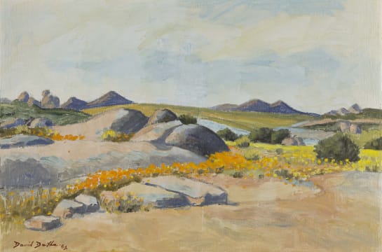 David Botha; Namaqualand Landscape