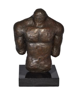 Hugh Frost; Male Torso