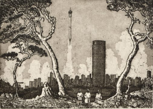 Johan Stegmann; Hillbrow Takes Off