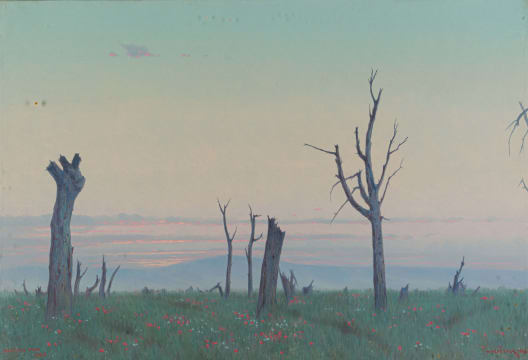 Willem Hermanus Coetzer; Delville Wood, 1925