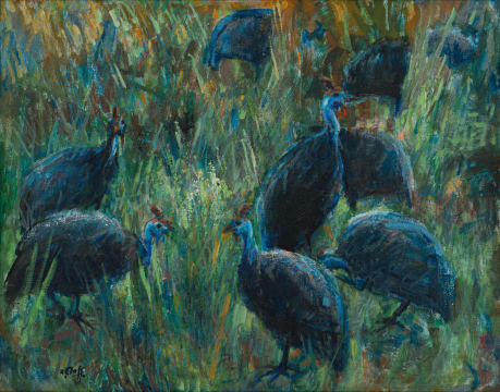 Zakkie Eloff; Guinea Fowl