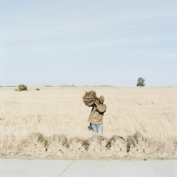 Mikhael Subotzky; Haystack