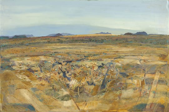Nico Roos; Extensive Namibian Landscape