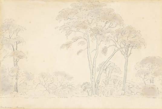 Jacob Hendrik Pierneef; Skakuza