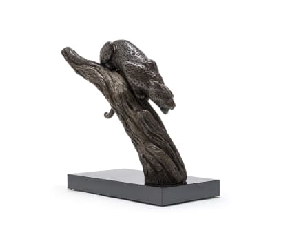 Donald Greig; Leopard on a Branch