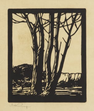 Jacob Hendrik Pierneef; Boomstamme (Nilant 101)