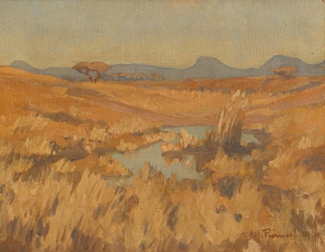 Jacob Hendrik Pierneef; Grassy Landscape with a Watering Hole