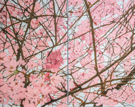 Denby Meyer; Blossom Galaxy, diptych