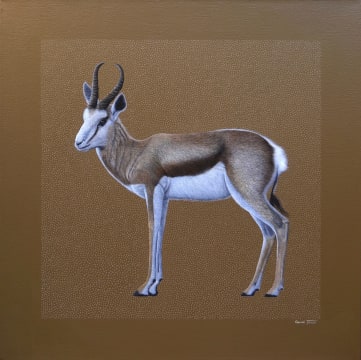 Gerick Terblanche; Home