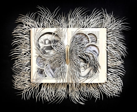 Barbara Wildenboer; Hysteria