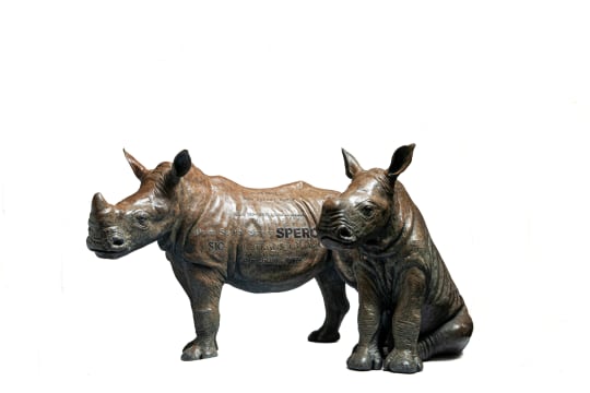 Angus Taylor; Tshukudu Njana, Uyema; Tshukudu Njana, Udula, Maquettes