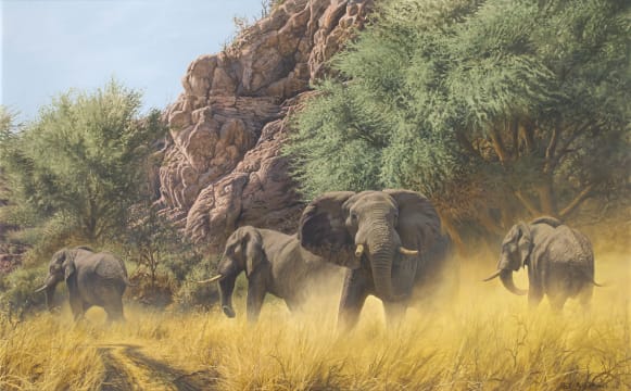 Paul Augustinus; Gubatsa Hills