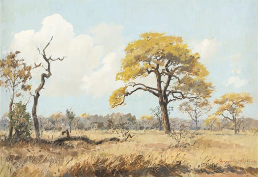 Francois Koch; Bushveld Landscape