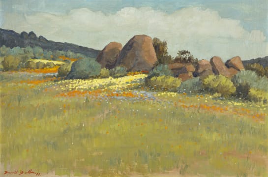 David Botha; Namaqualand Landscape