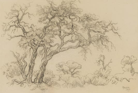 Gregoire Boonzaier; Trees