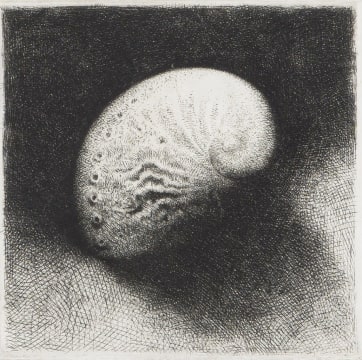 Paul Emsley; Shell