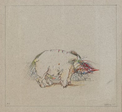 Norman Catherine; Pig