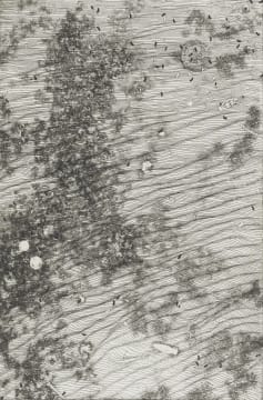 Richard Penn; Field