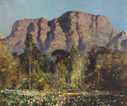Robert Gwelo Goodman; Pageant of Spring, Newlands