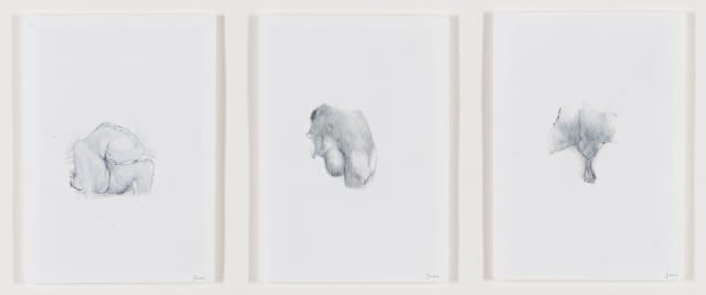 Jacques James; Erotic Scenes II, three