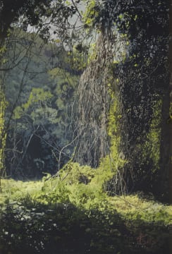 James Mooney; Wilderness, Garden Route