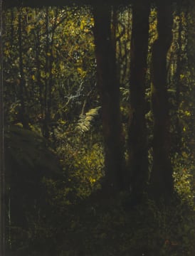 James Mooney; Jubilee Creek