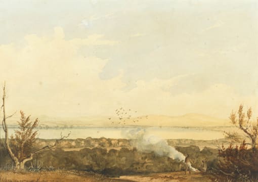 Thomas Bowler; Natal from Berea